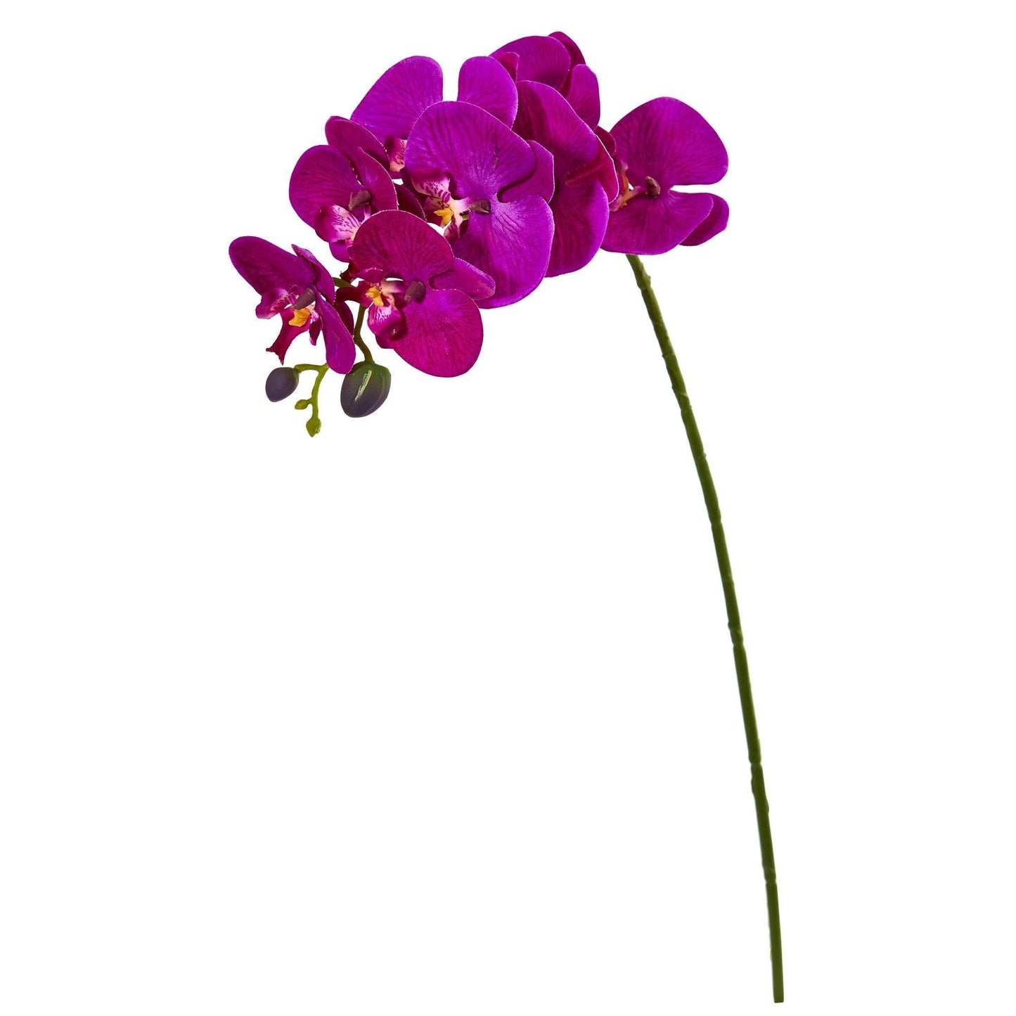 Tallo de flor artificial de orquídea Phalaenopsis de 28" (juego de 6)