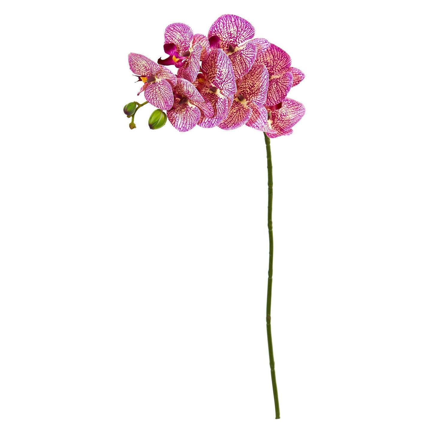 Tallo de flor artificial de orquídea Phalaenopsis de 28" (juego de 6)