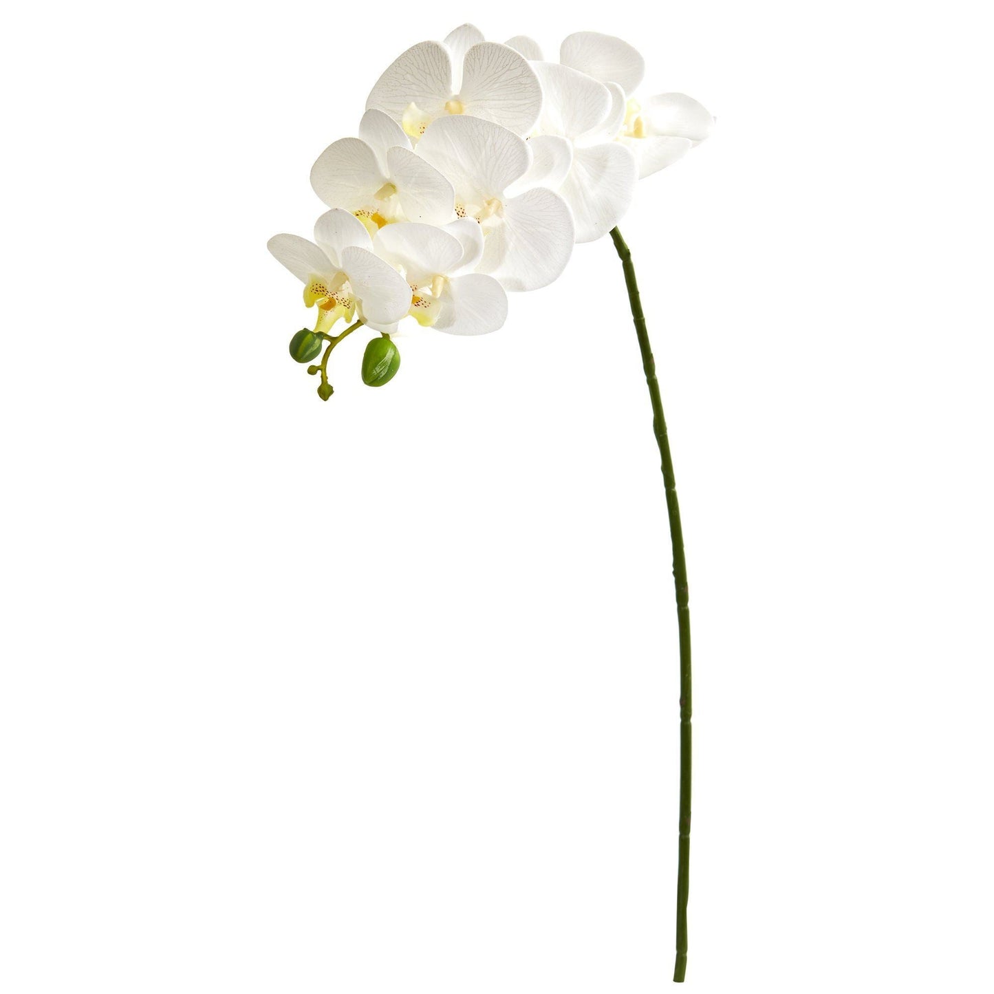 Tallo de flor artificial de orquídea Phalaenopsis de 28" (juego de 6)