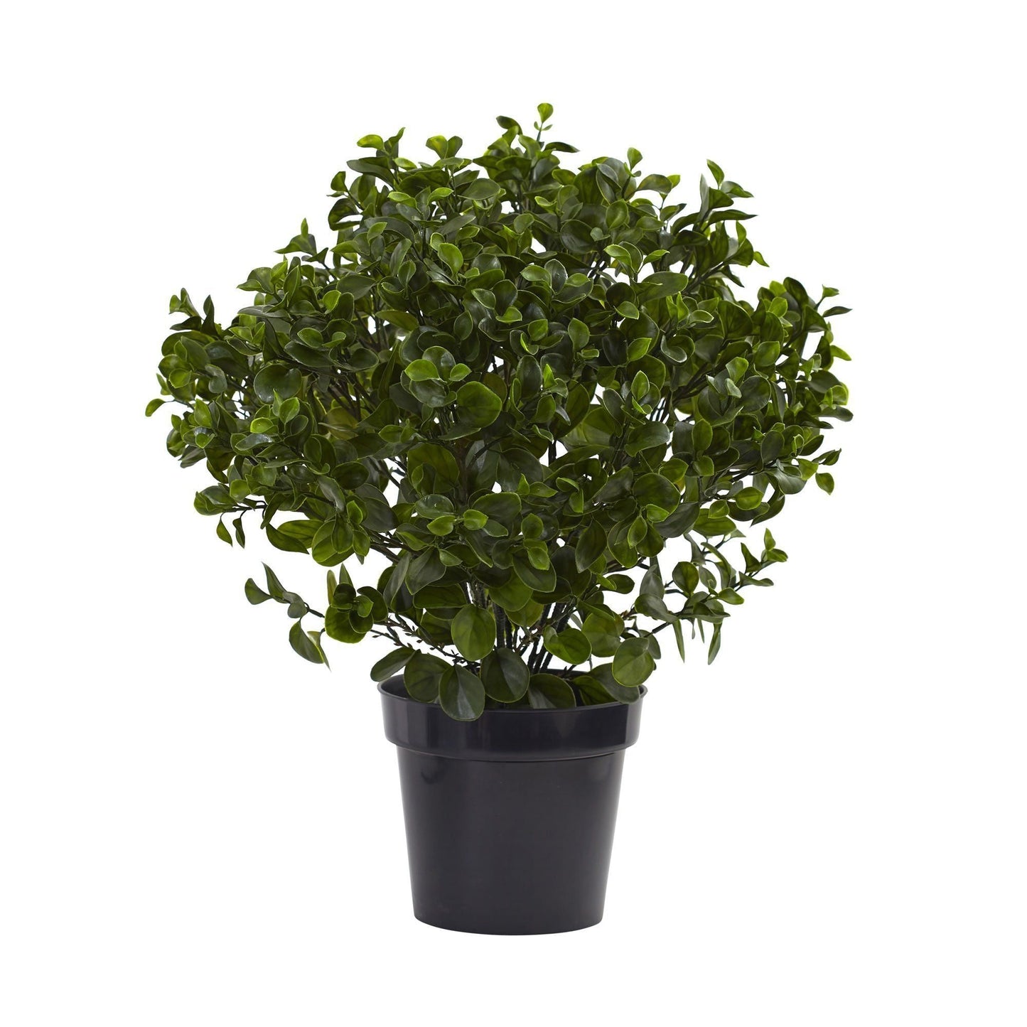 Planta Peperomia de 28” resistente a los rayos UV (interior/exterior)