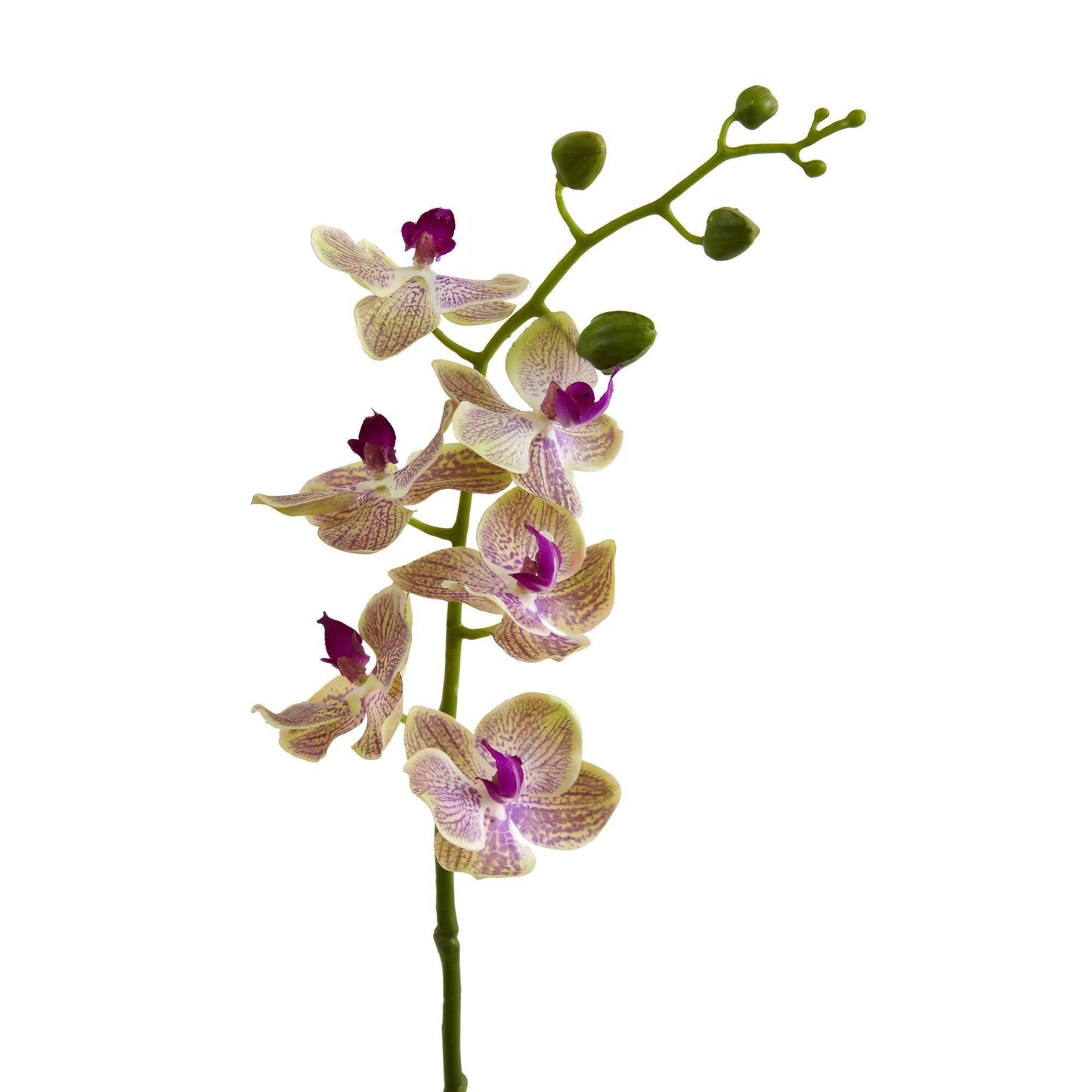 Orchidée Phalaenopsis artificielle de 29 po (lot de 4)