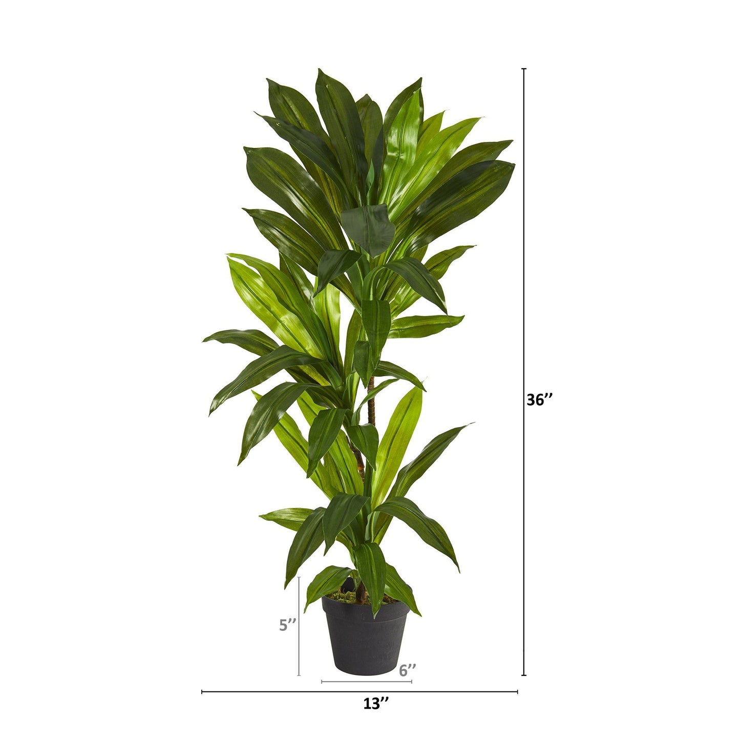 Plante artificielle Dracaena de 3 pi (Real Touch)