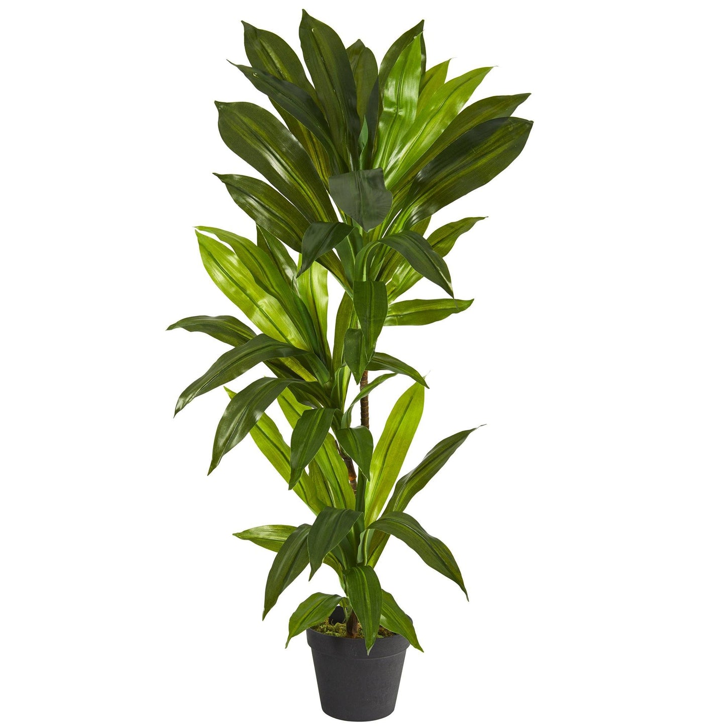 Plante artificielle Dracaena de 3 pi (Real Touch)