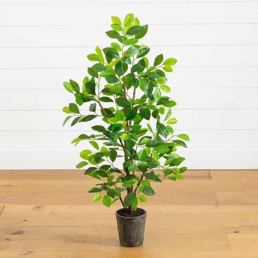 Árbol ficus artificial de 3 pies en jardinera