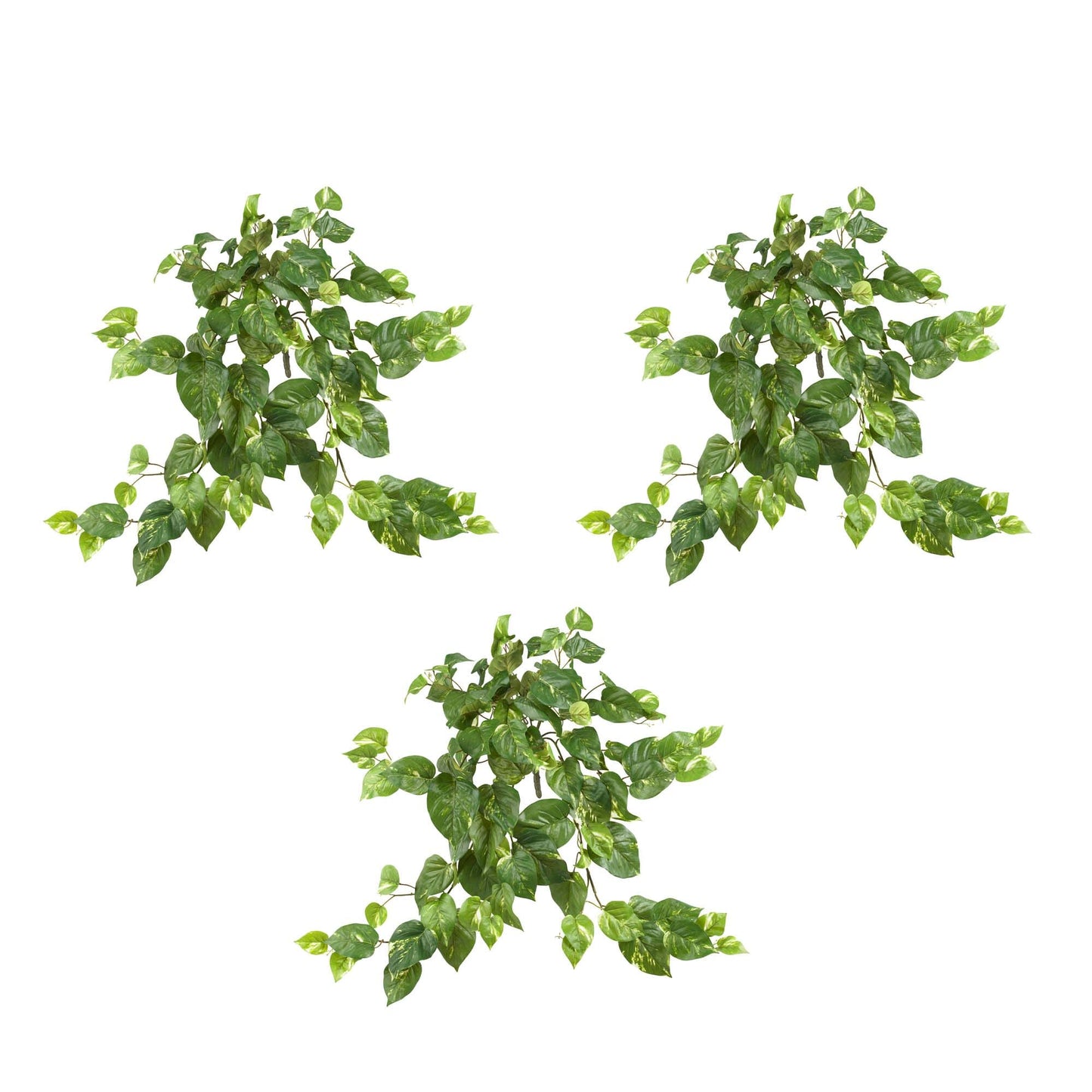 Arbusto colgante Pothos de 30” (juego de 3)