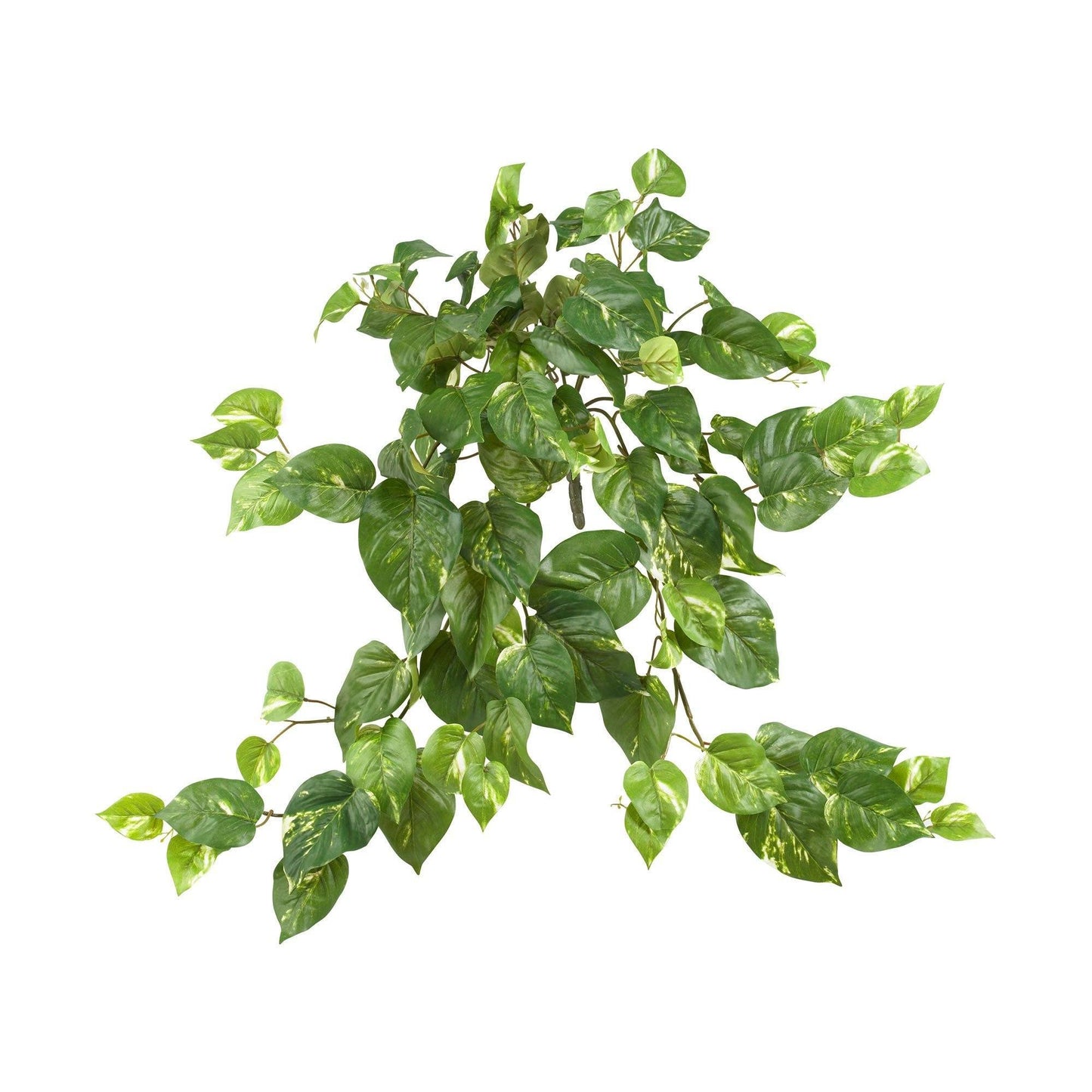 Arbusto colgante Pothos de 30” (juego de 3)