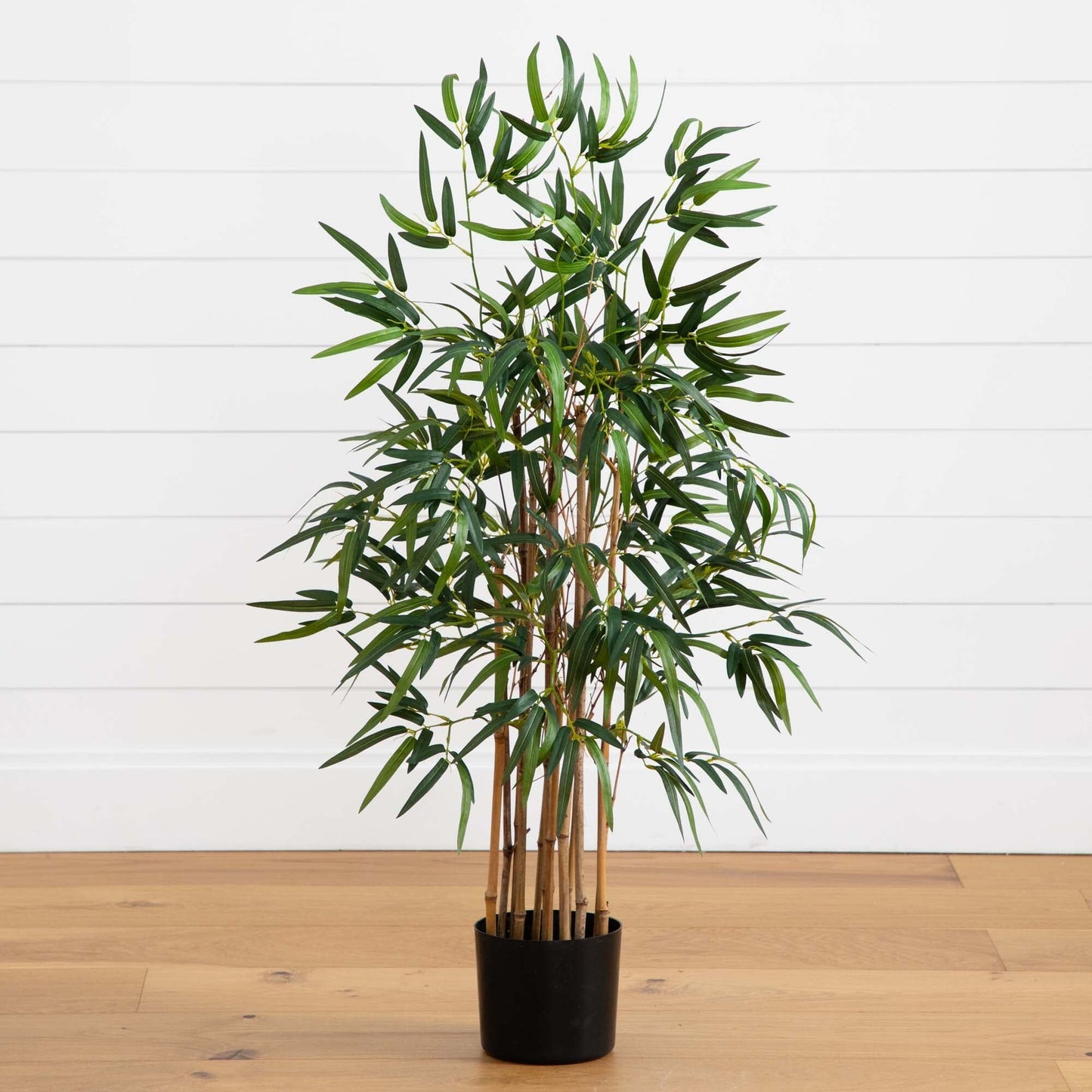 3.5' Twiggy Bamboo Tree