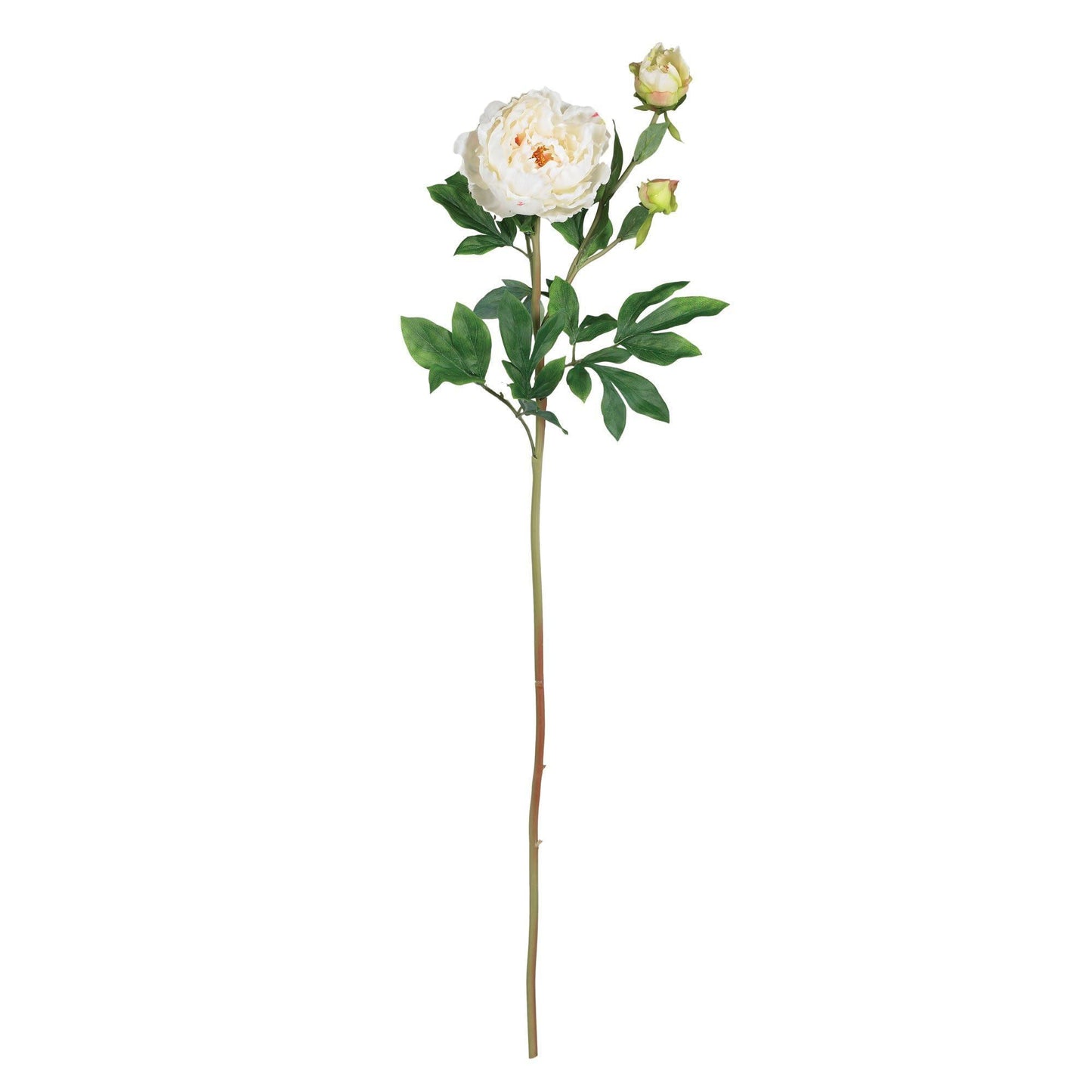 Pivoine de 38,5 po avec tige de feuilles (ensemble de 12)