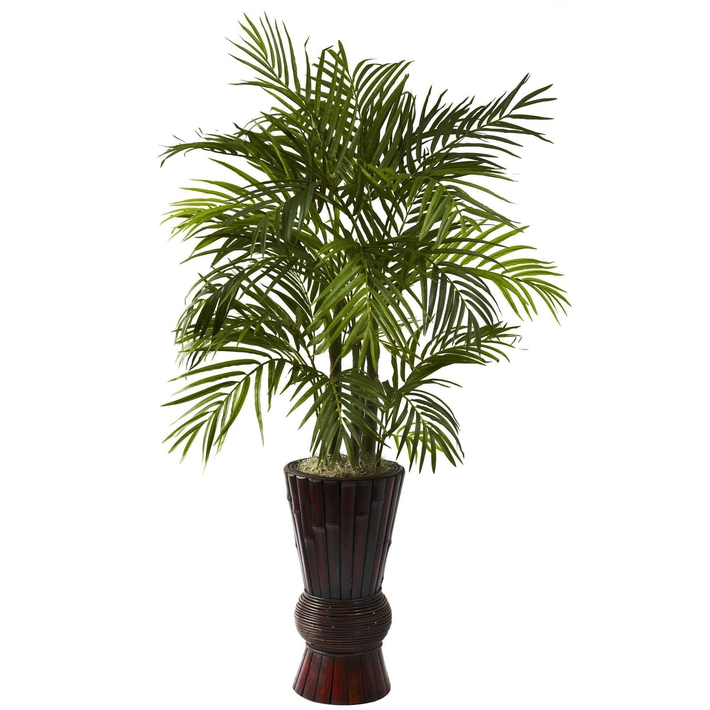 Areca de 4 pi avec jardinière en bambou