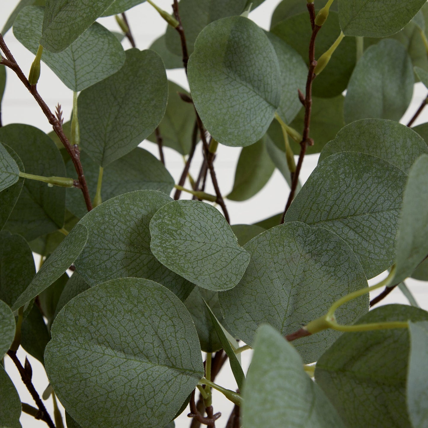 Arbre d'eucalyptus artificiel de 4 pieds