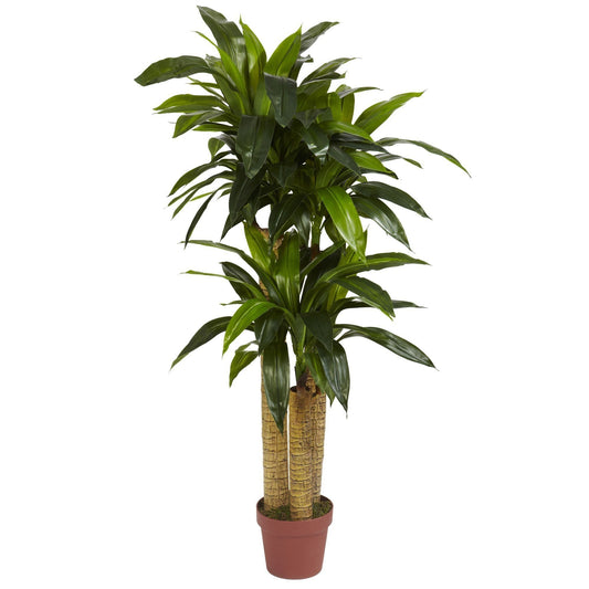 Plante en soie Dracaena à tige de maïs de 4 pi (Real Touch)