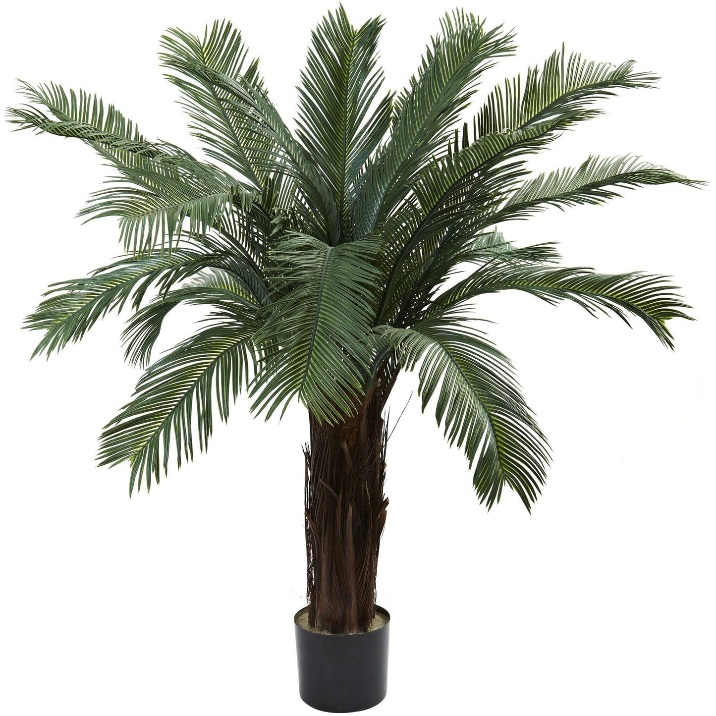 Arbre Cycas de 4 pi résistant aux UV (intérieur/extérieur)