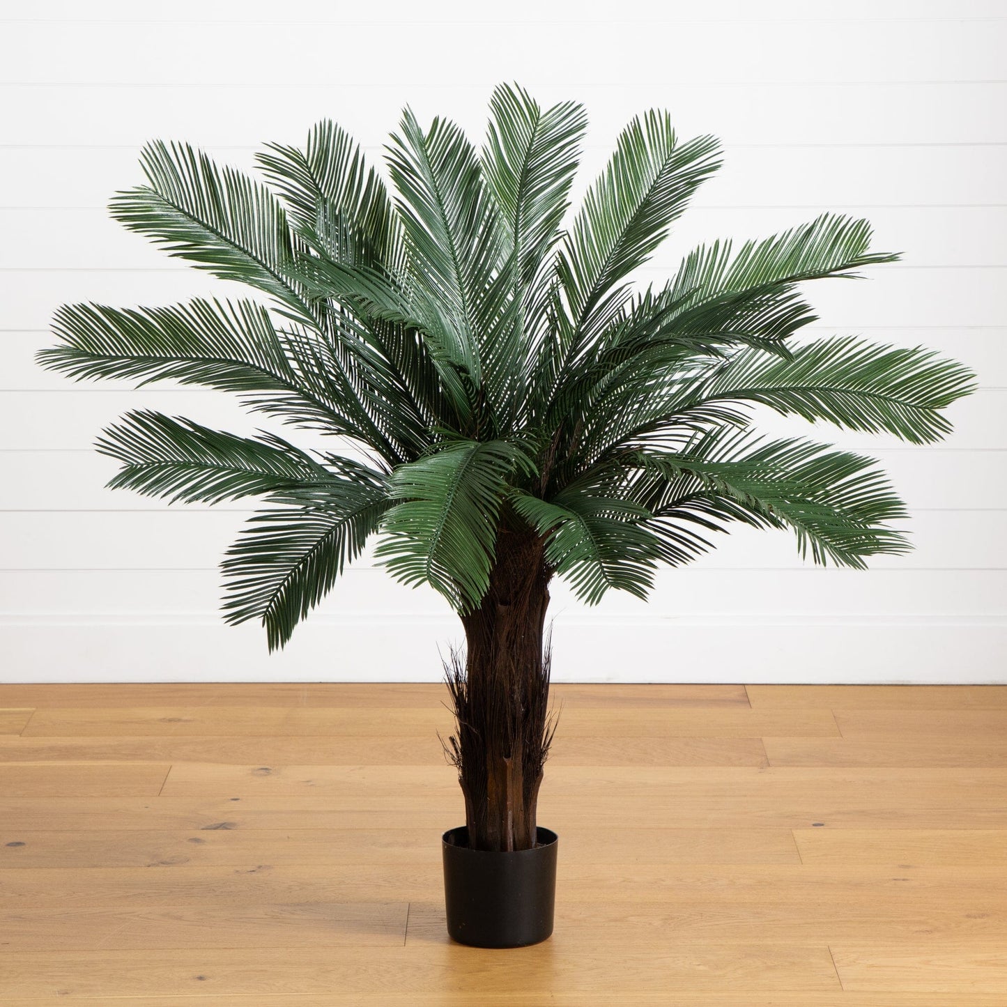 Arbre Cycas de 4 pi résistant aux UV (intérieur/extérieur)