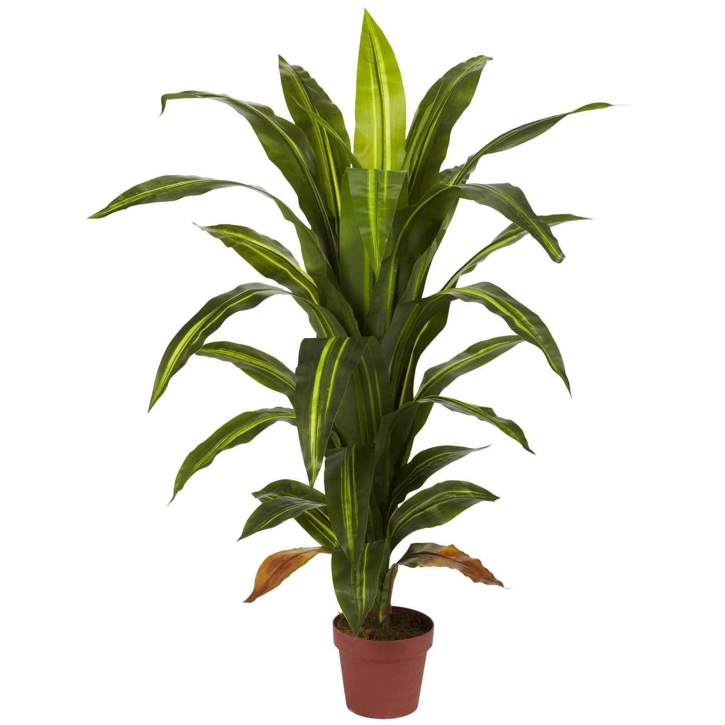 Planta de seda Dracaena de 4 pies (Real Touch)