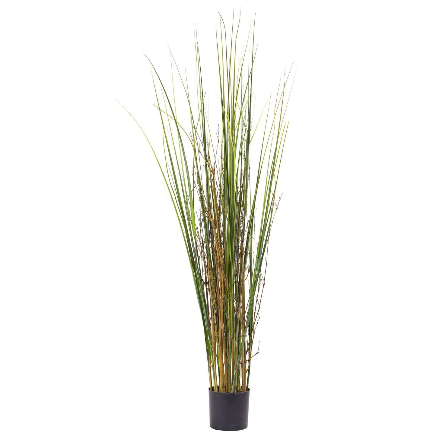 Plante d'herbe et de bambou de 4 pieds