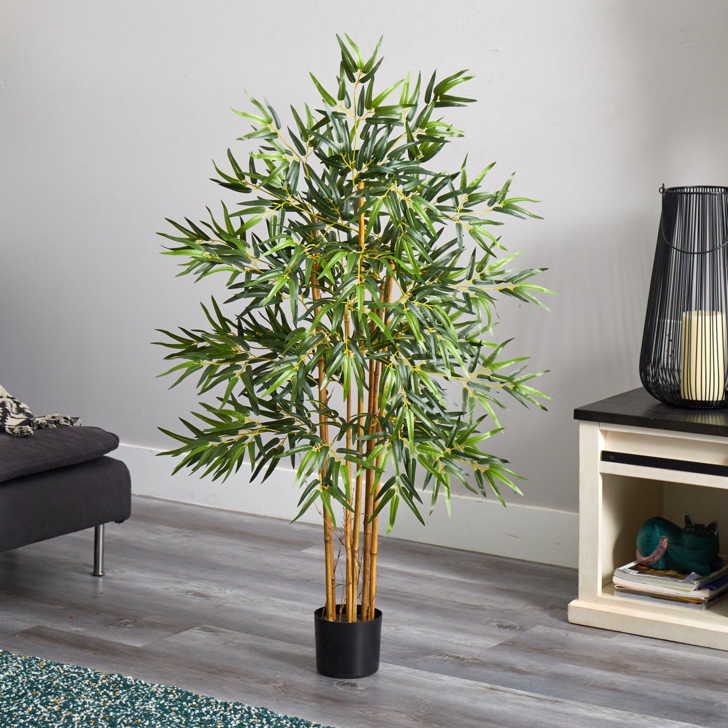 4' Multi Bambusa Bamboo Silk Tree