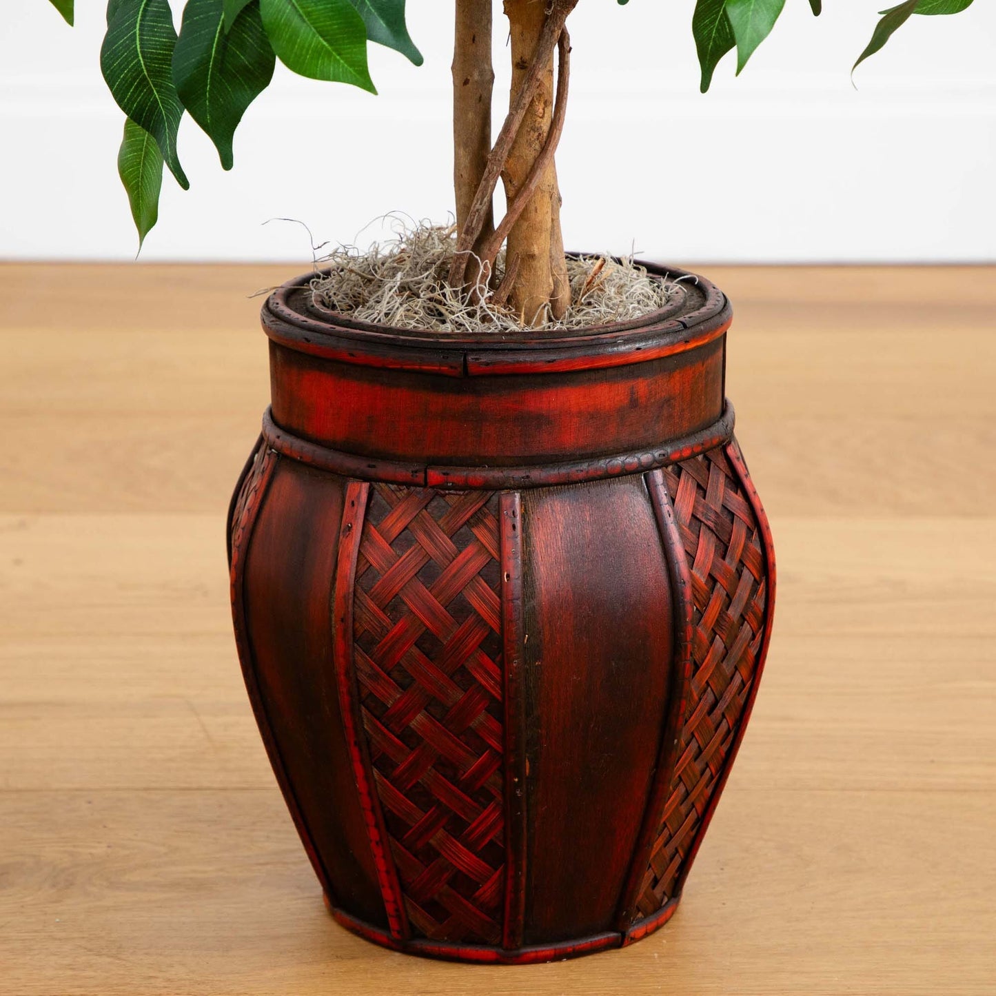 Ficus de 44” con macetero decorativo