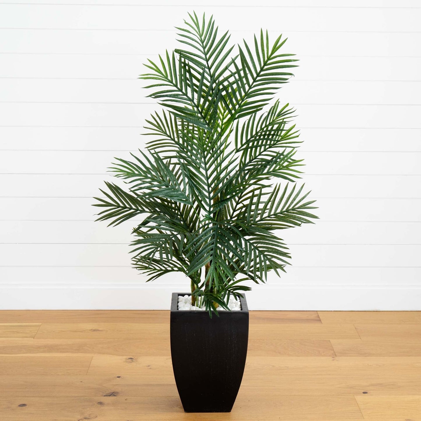 Palmier Areca de 4,5 pi avec jardinière noire résistante aux UV (intérieur/extérieur)