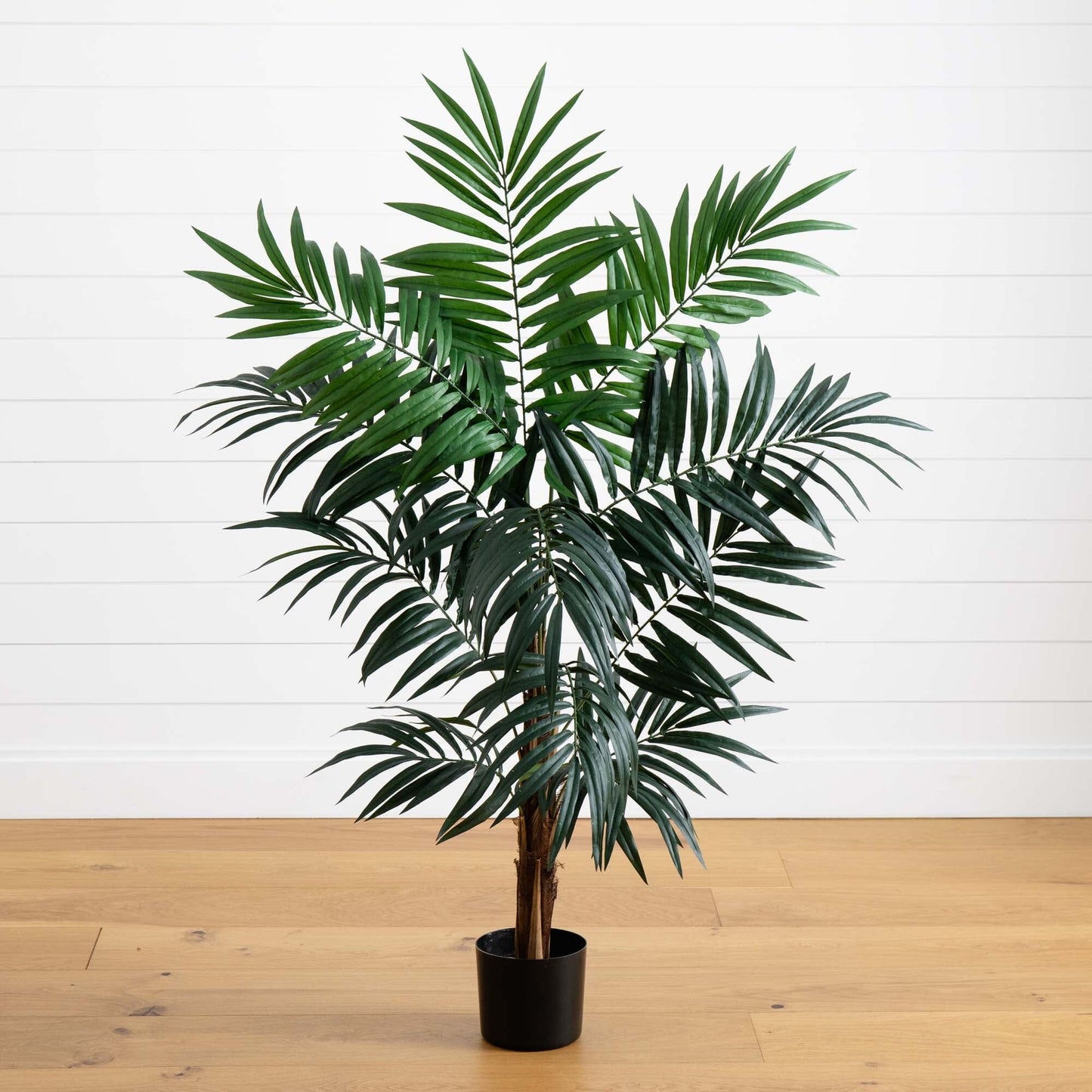 4.5’ Bulb Areca Tree