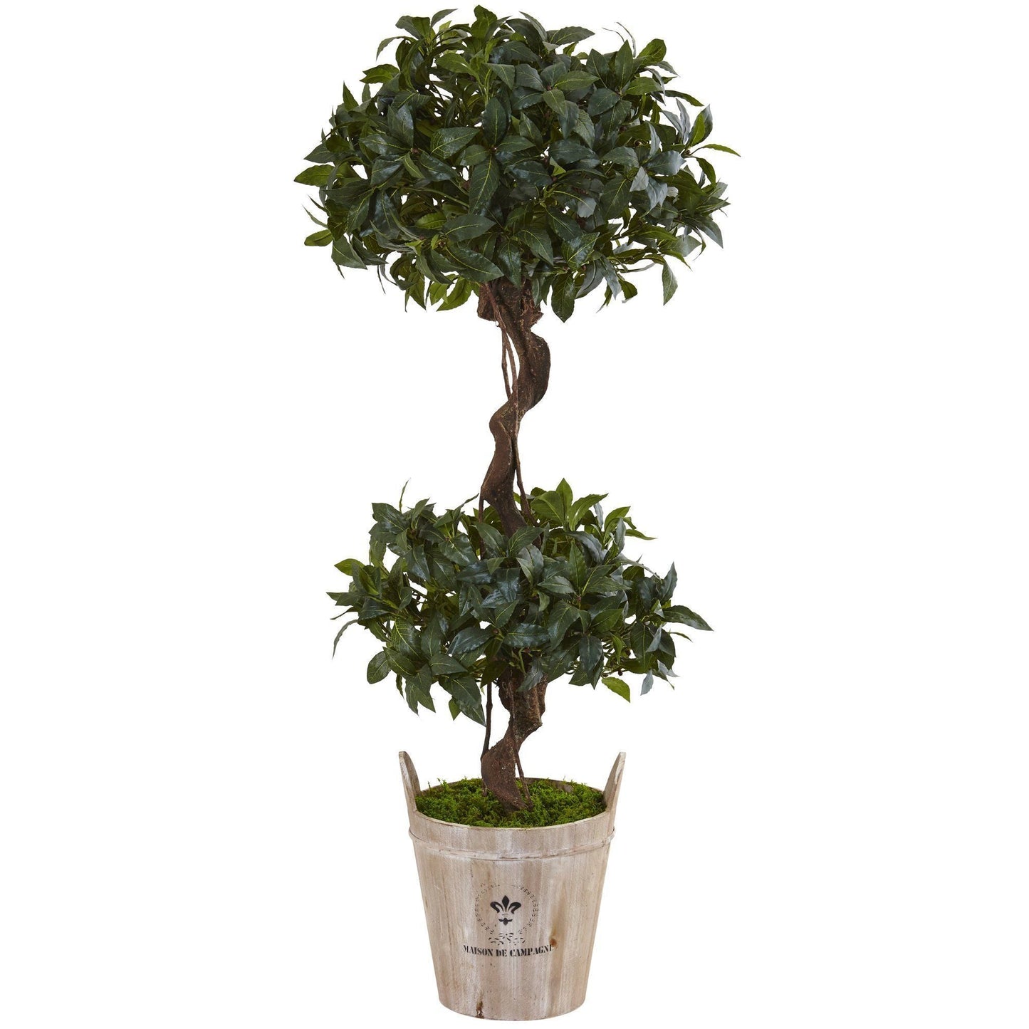 Árbol topiario doble Sweet Bay de 4,5 pies en jardinera de estilo rústico