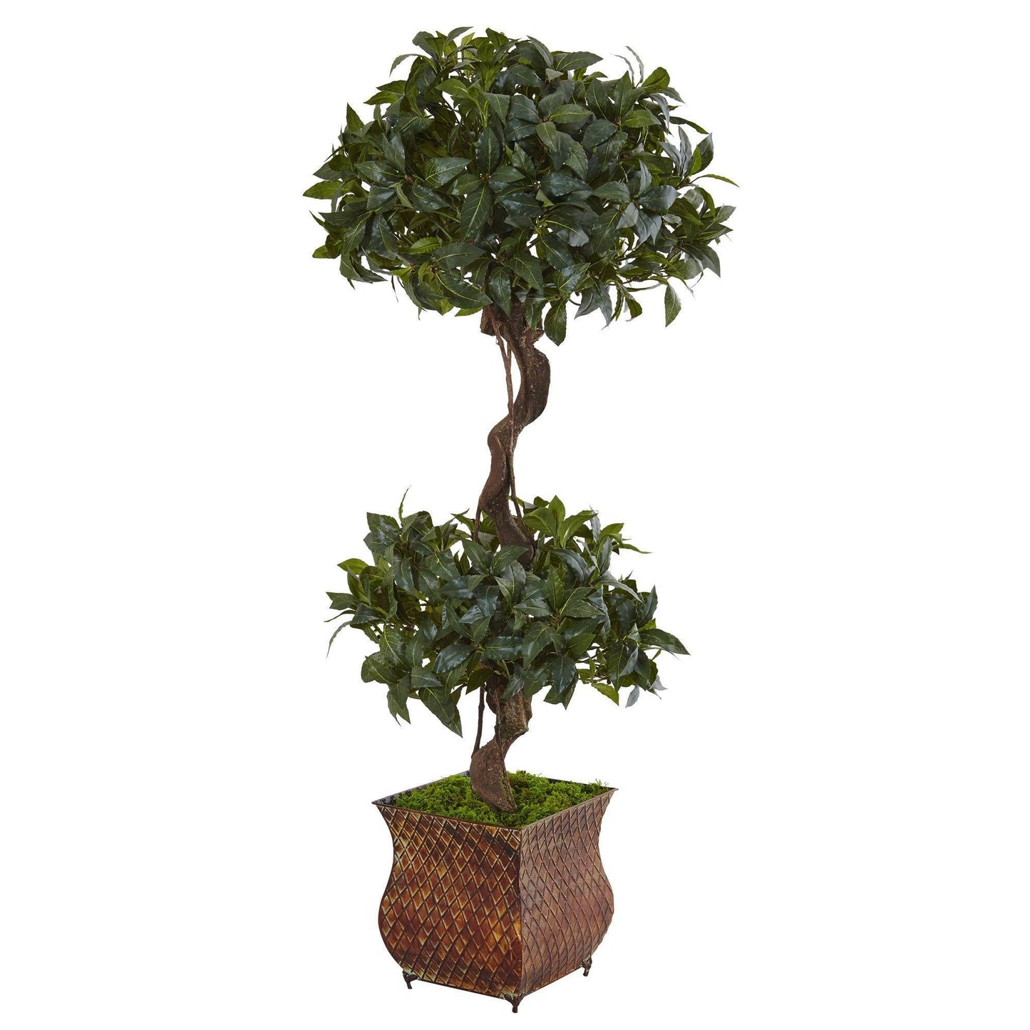 Árbol topiario doble Sweet Bay de 4,5 pies en macetero de metal