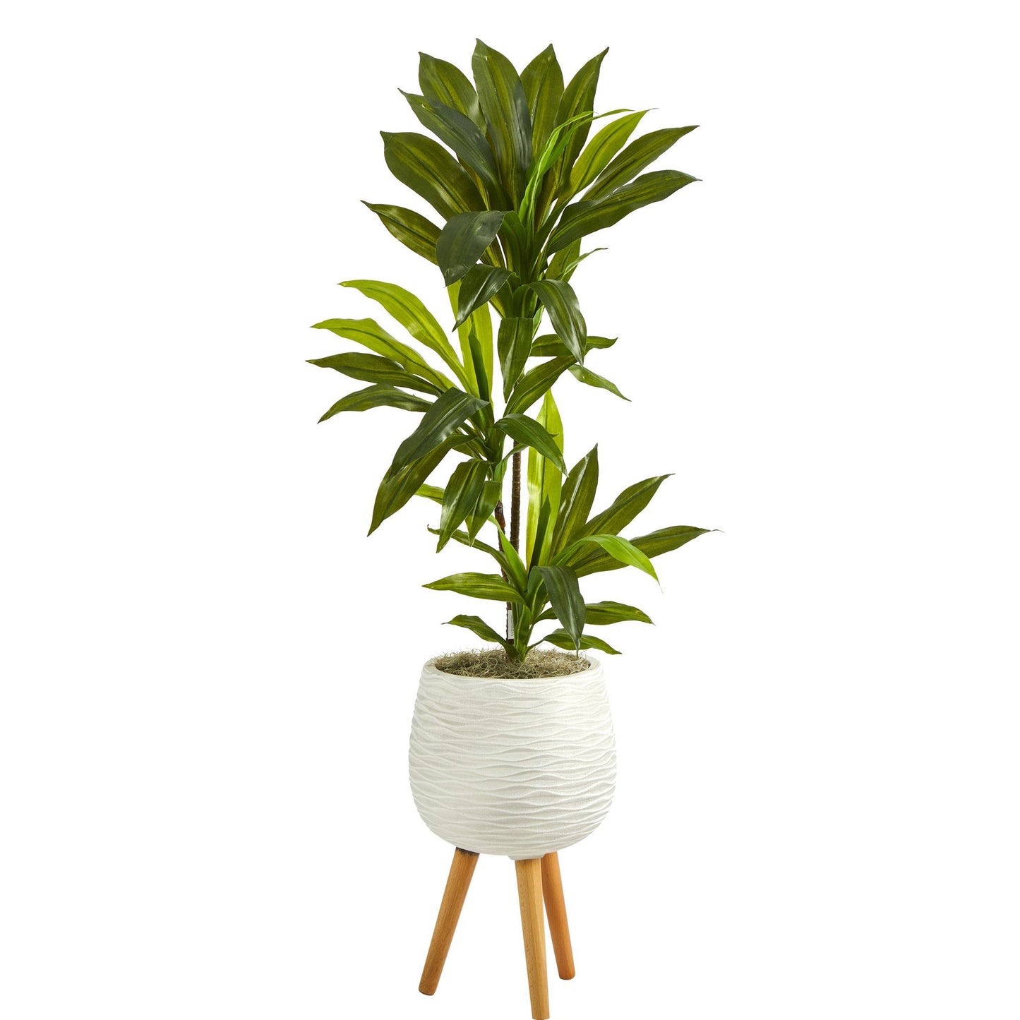 Planta artificial Dracaena de 46" en macetero blanco con soporte (tacto real)