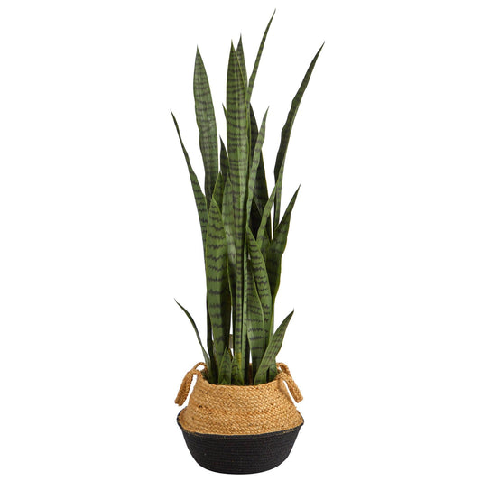 Planta de Sansevieria de 46” en macetero tejido de algodón y yute negro