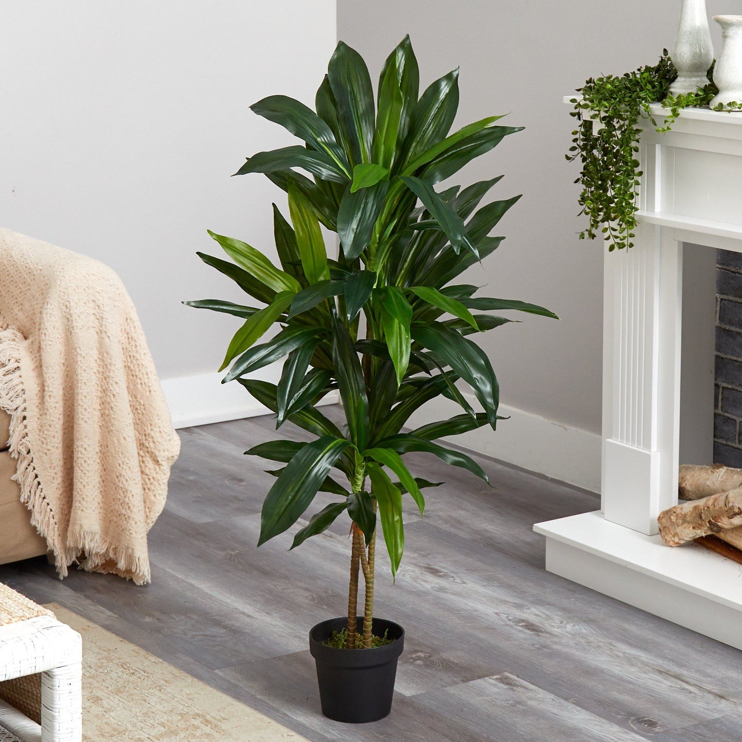 Plante en soie Dracaena de 48 po (Real Touch)