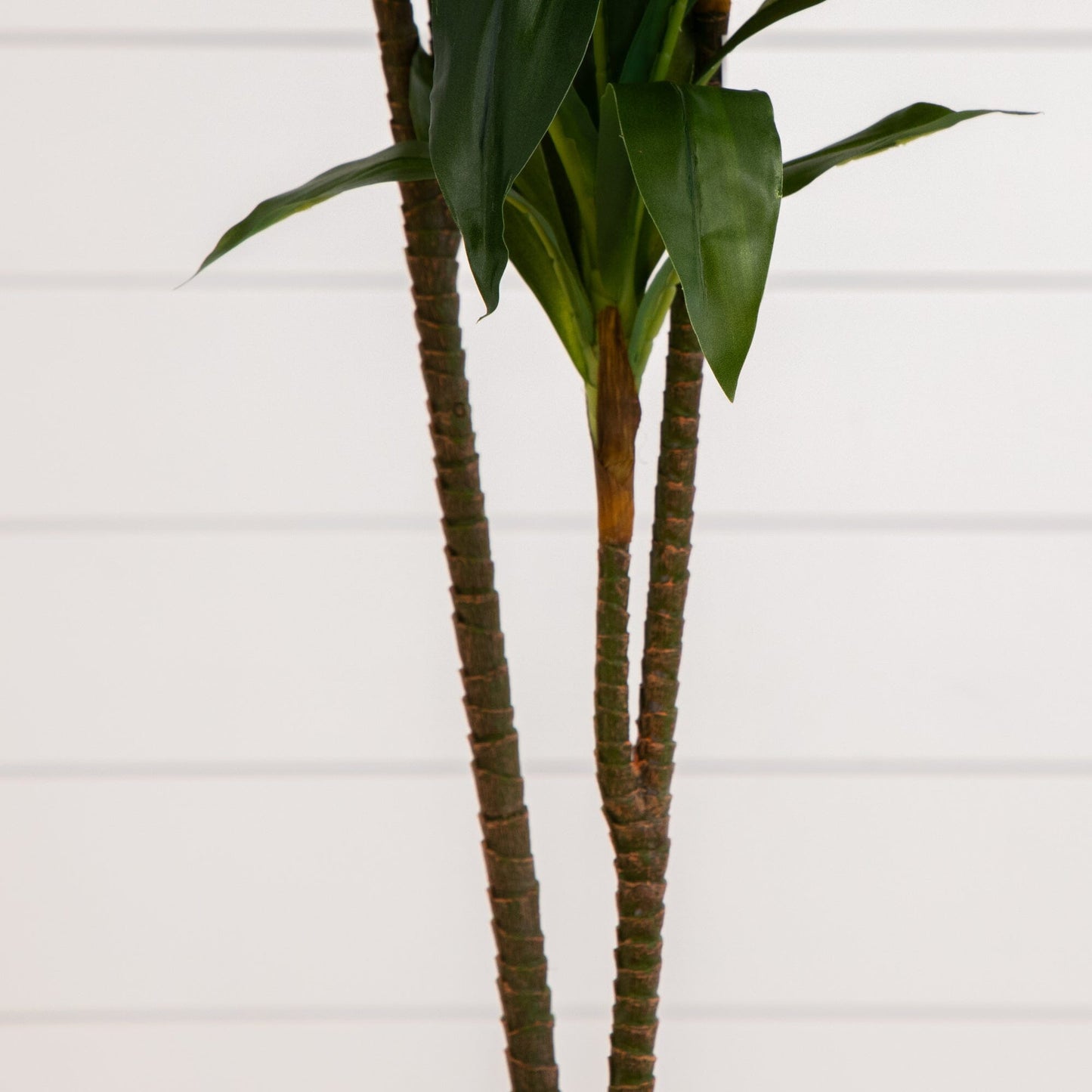 Plante en soie Dracaena de 48 po (Real Touch)