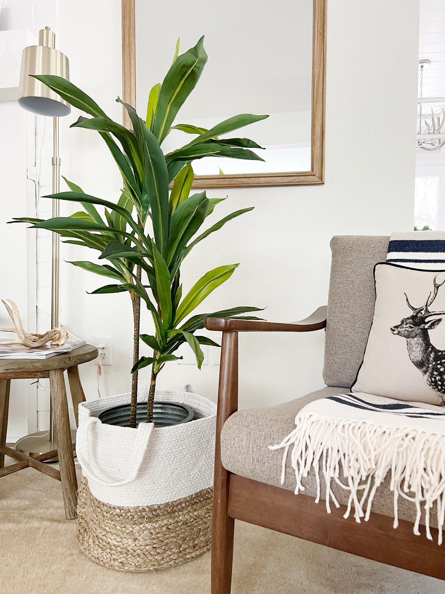 Plante en soie Dracaena de 48 po (Real Touch)