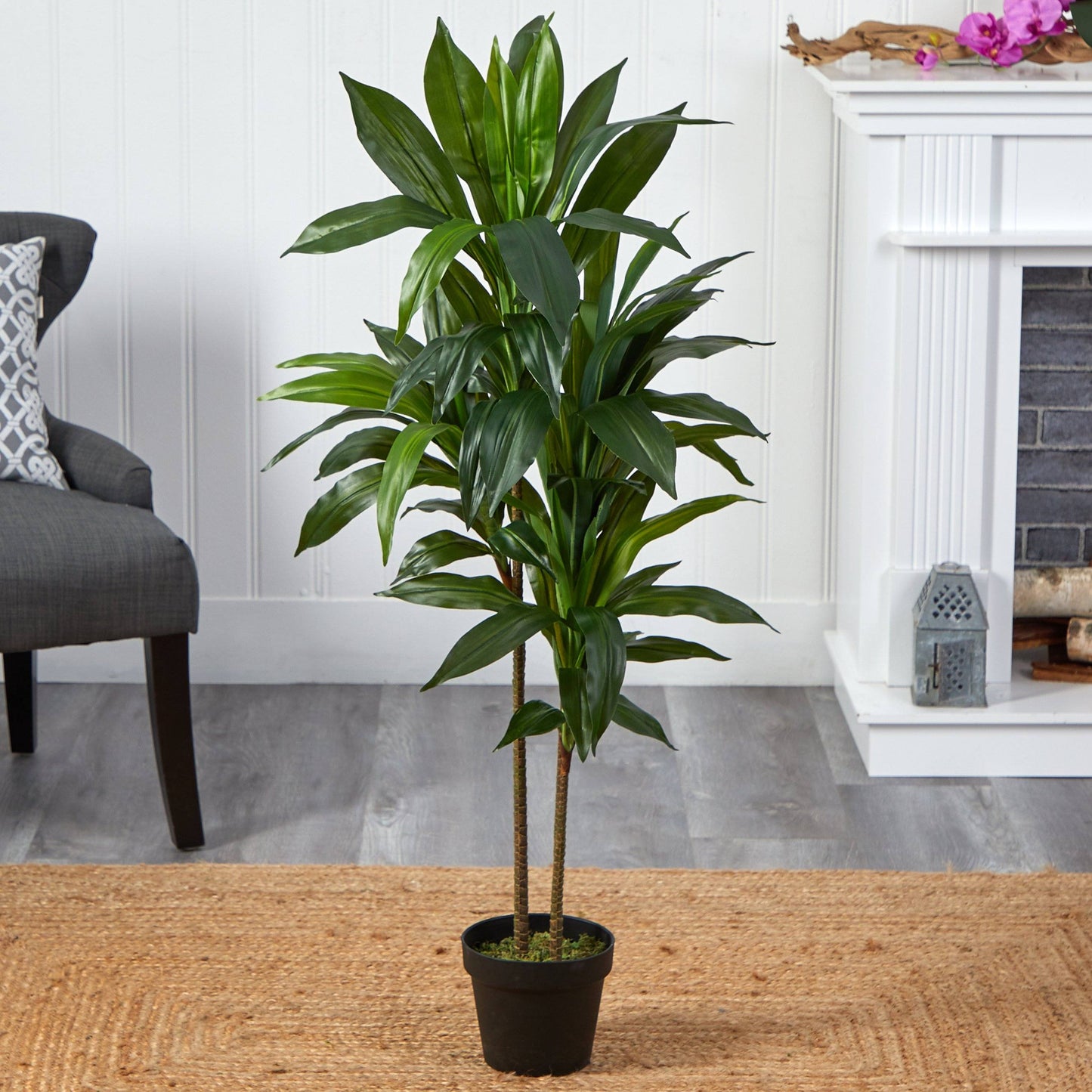 Plante en soie Dracaena de 48 po (Real Touch)