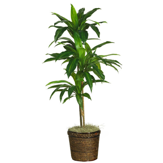 Dracaena de 48 po avec plante en soie en panier (Real Touch)