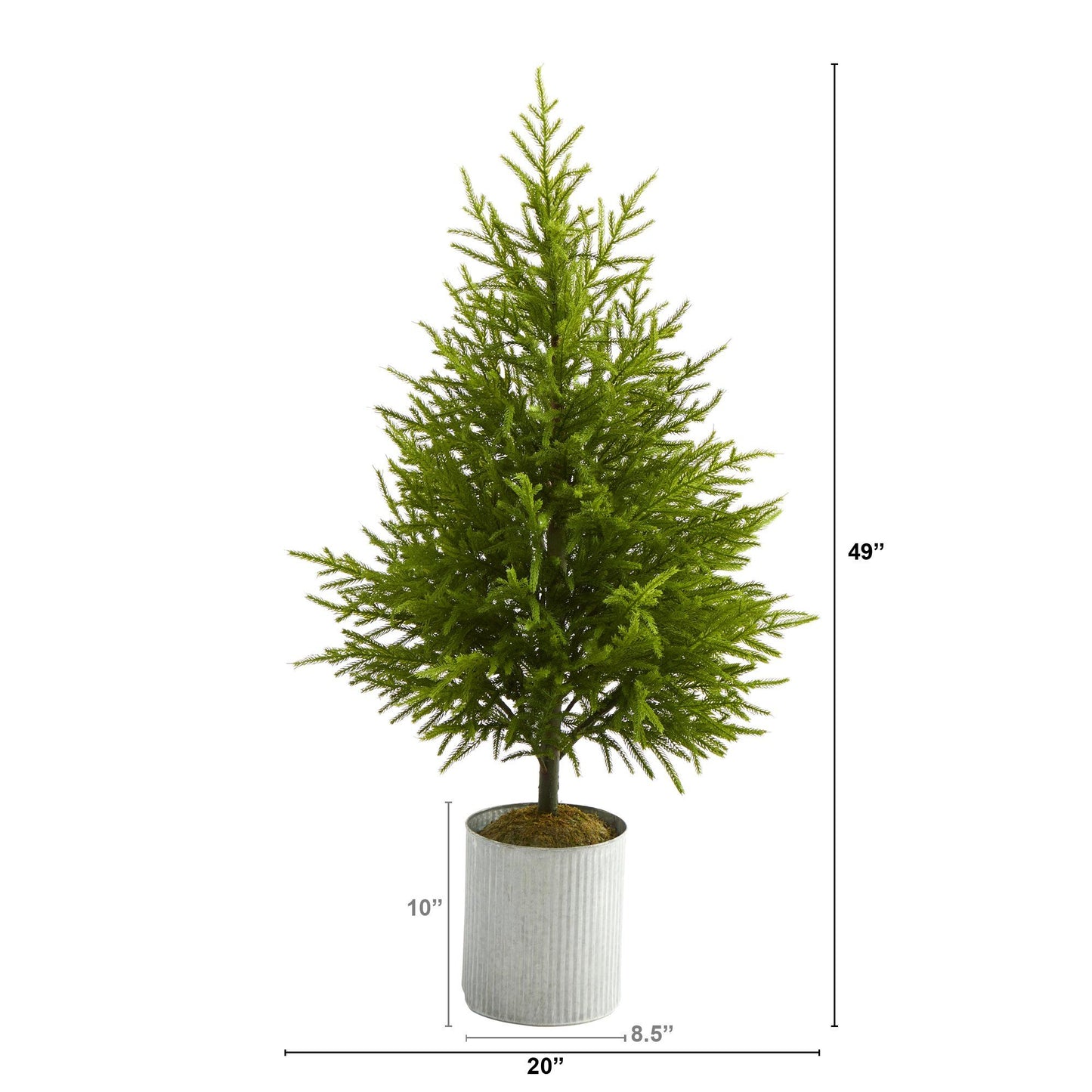 49” Norfolk Island Pine “Natural Look” Artificial Christmas Tree