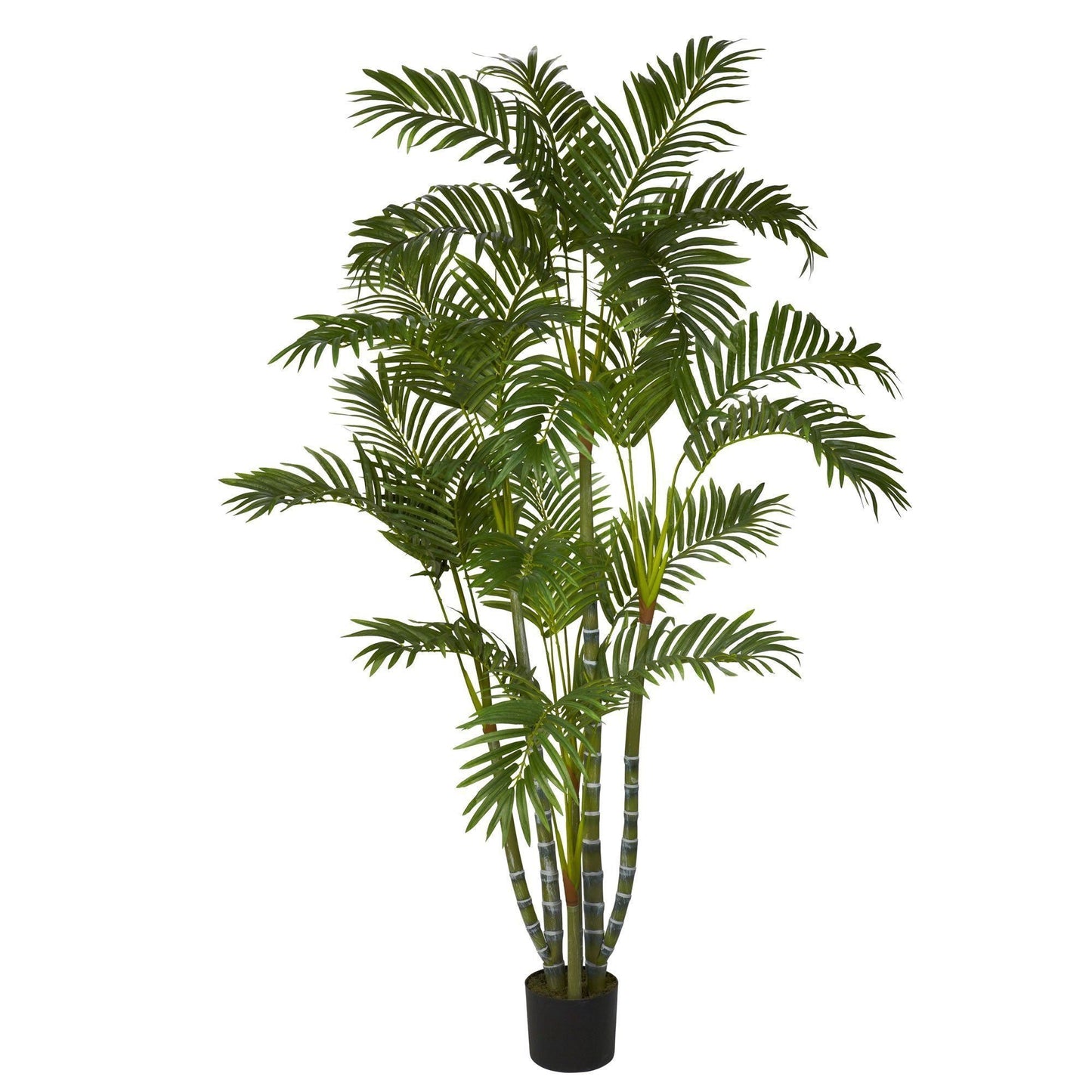 Árbol de seda de areca de 5 pies