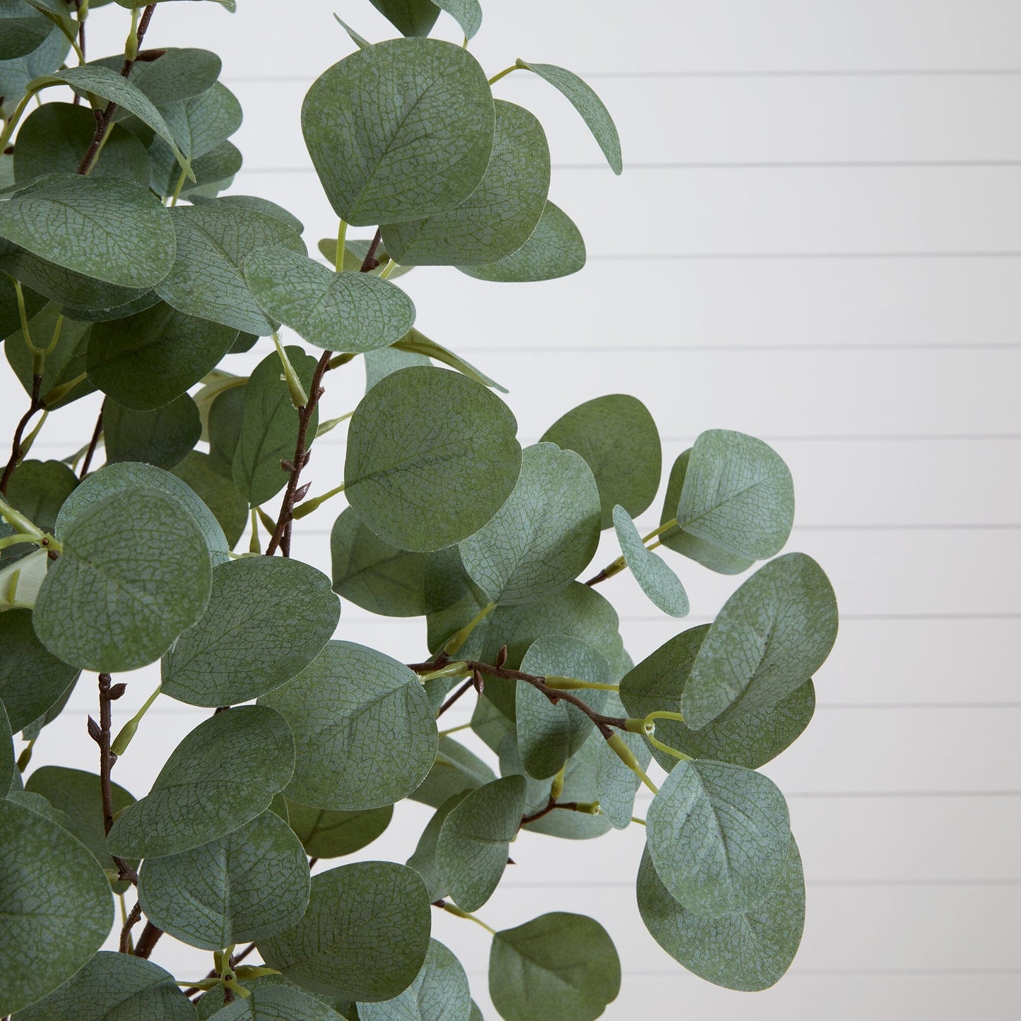 Arbre d'eucalyptus artificiel de 5 pieds