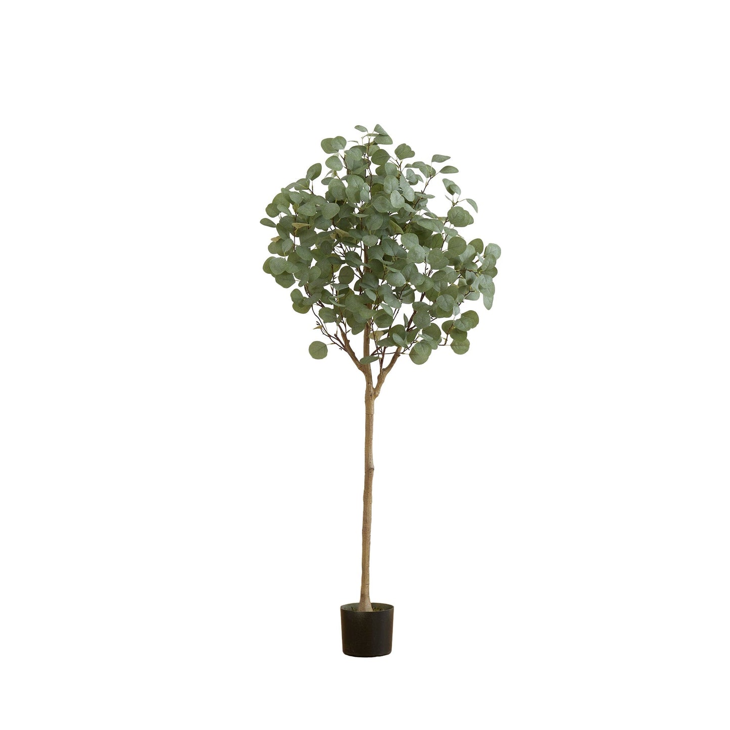 Arbre d'eucalyptus artificiel de 5 pieds