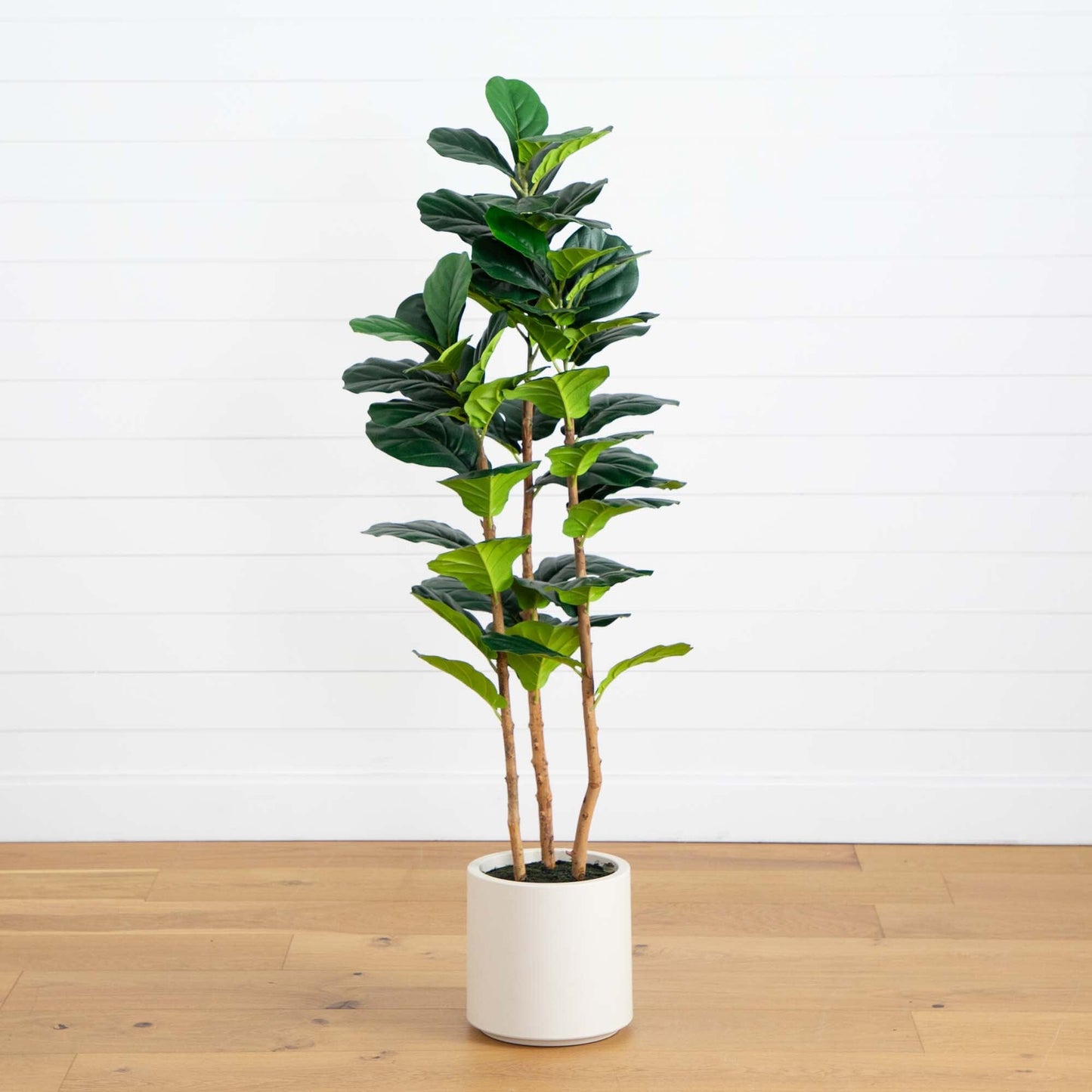 5’ Artificial Fiddle Leaf Tree in Decorative White Planter