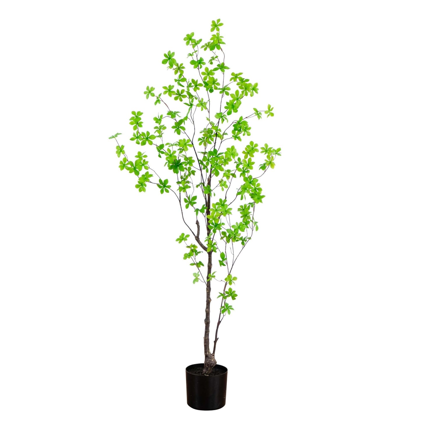 5’ Artificial Minimalist Enkianthus Tree