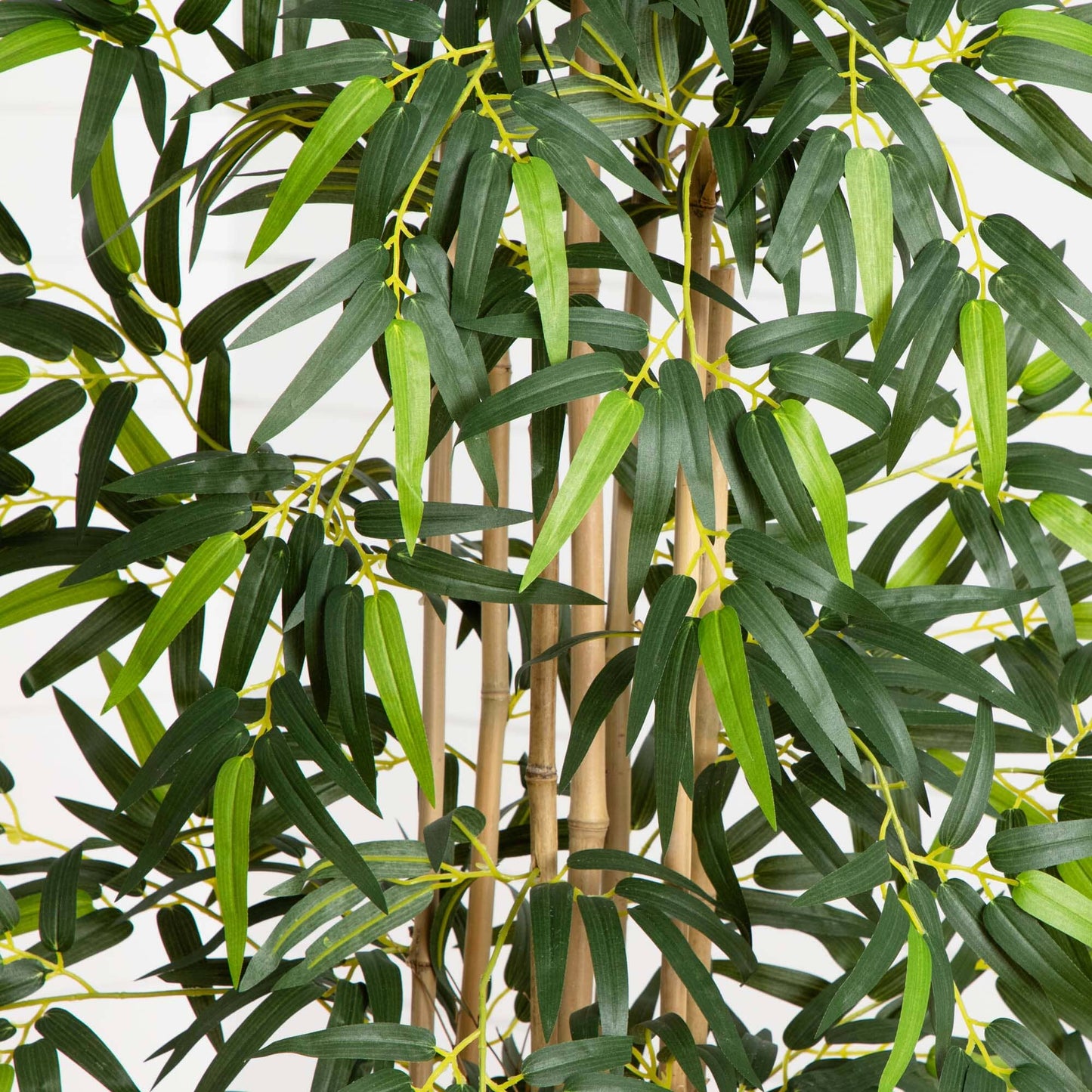 Arbre en bambou de 5 pieds dans une jardinière cylindrique grise