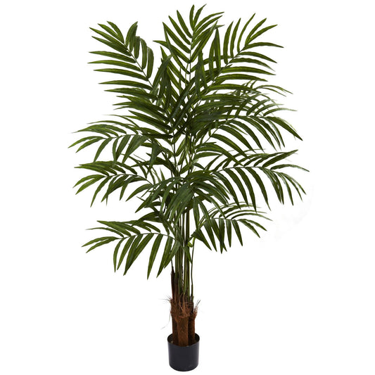 Palmera grande de 5''