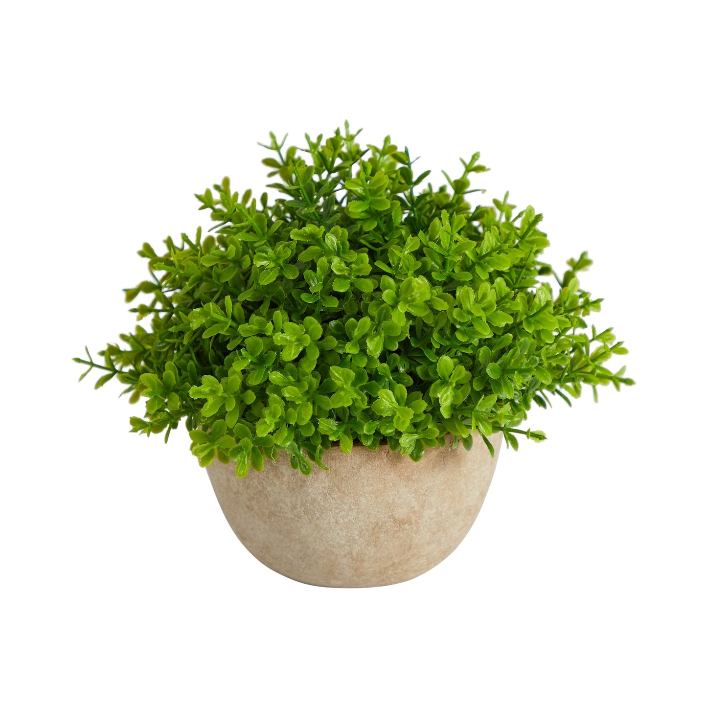 5” Boxwood Artificial Plant in Decorative Planter