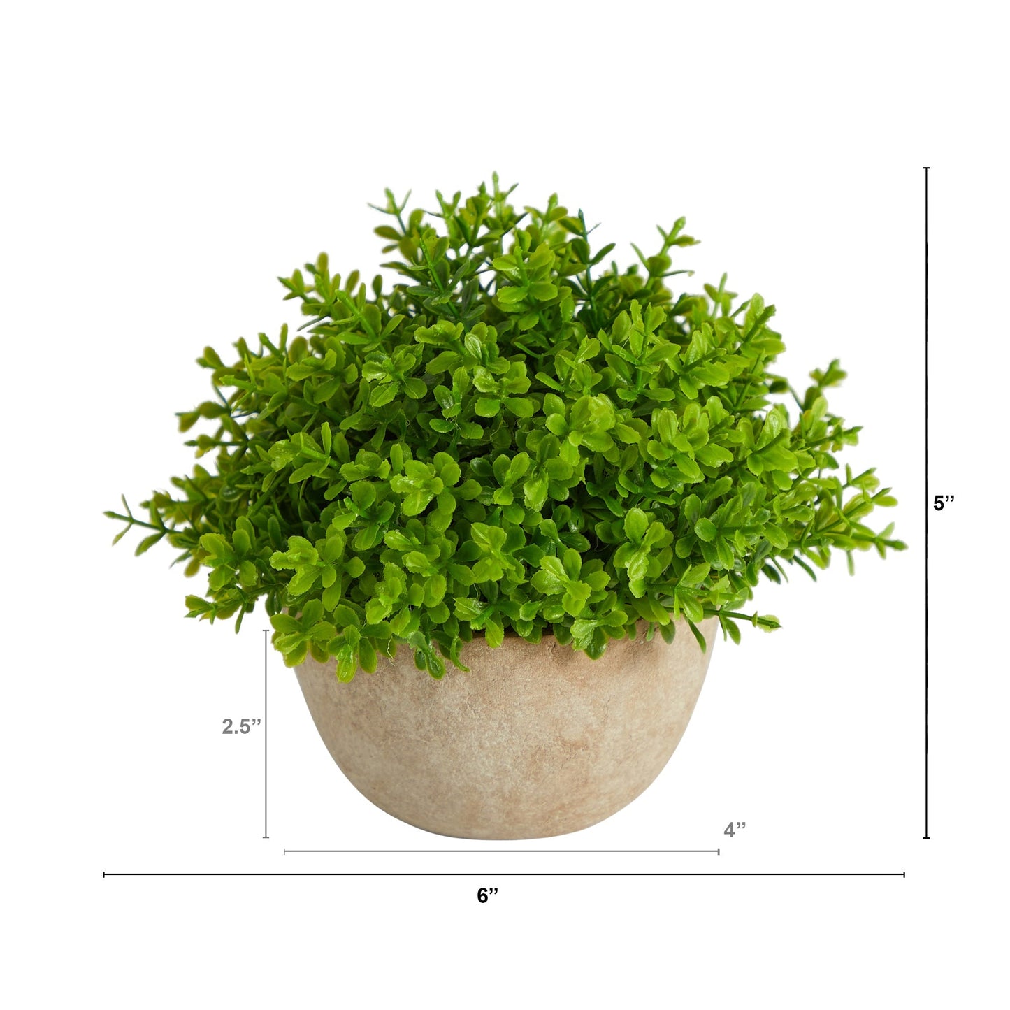 5” Boxwood Artificial Plant in Decorative Planter