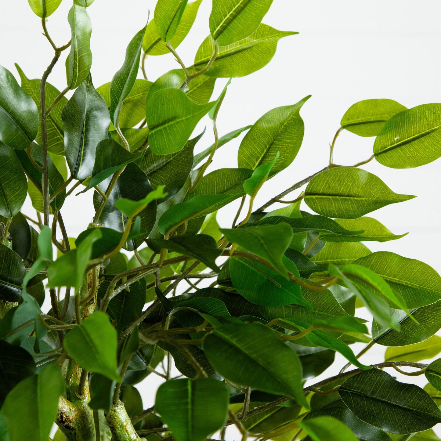 Árbol artificial de ficus trenzado de 5 pies en maceta de pizarra (interior/exterior)