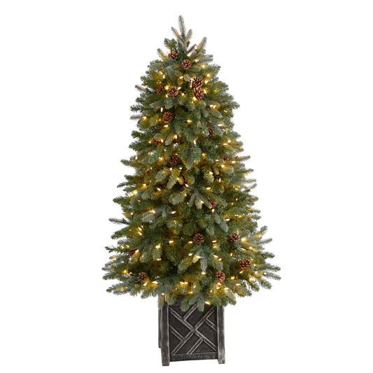 5' Colorado Fir Flocked Dusted Artificial Christmas Tree