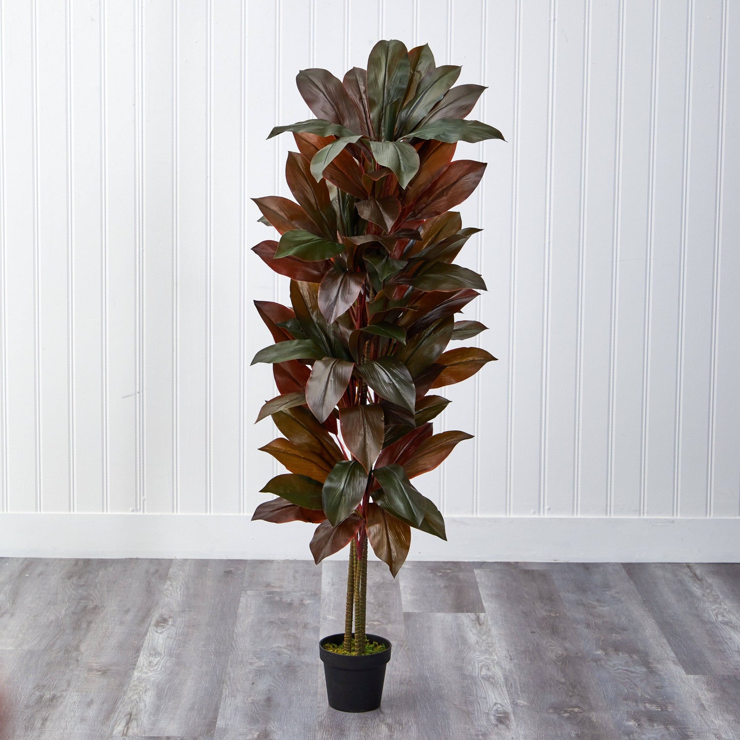 Plante en soie Cordyline 5' (Real Touch)