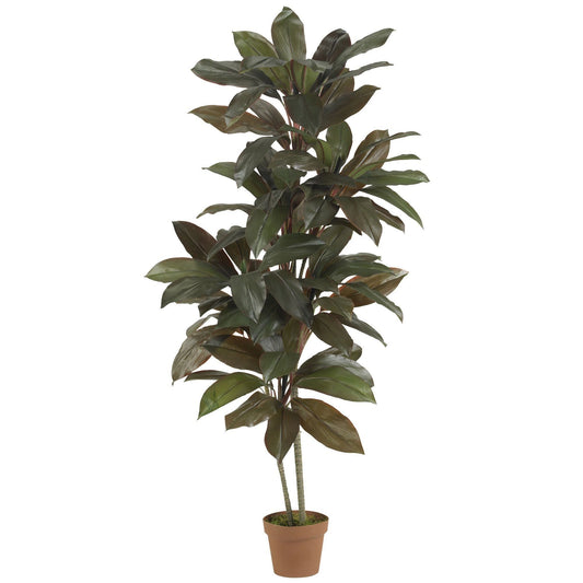 Plante en soie Cordyline 5' (Real Touch)