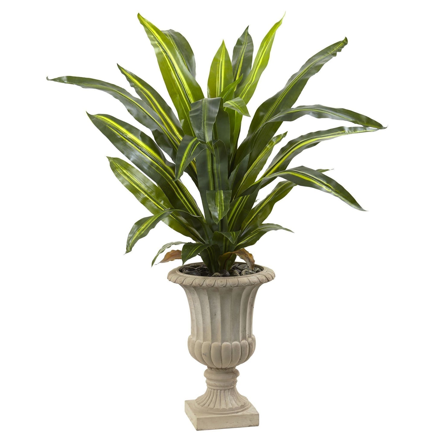 Planta Dracaena de 5' con urna (Real Touch)