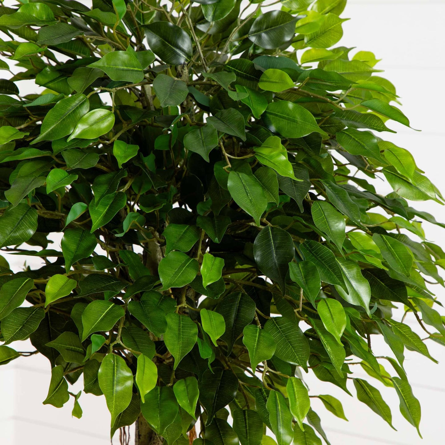 5' Ficus Artificial Topiary Tree UV Resistant (Indoor/Outdoor)