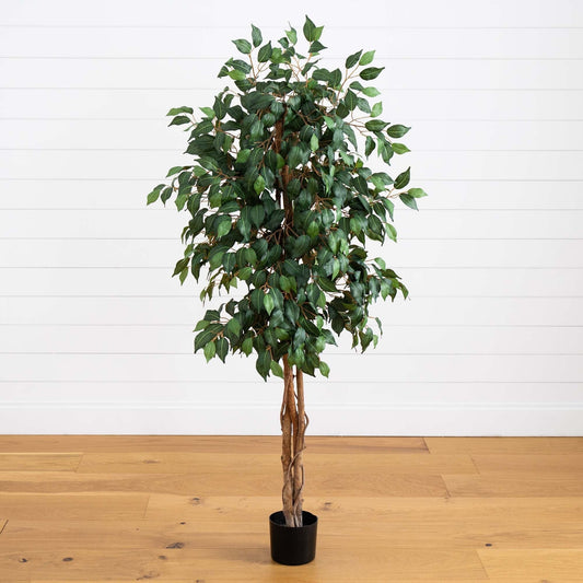 Árbol de seda ficus de 5 pies