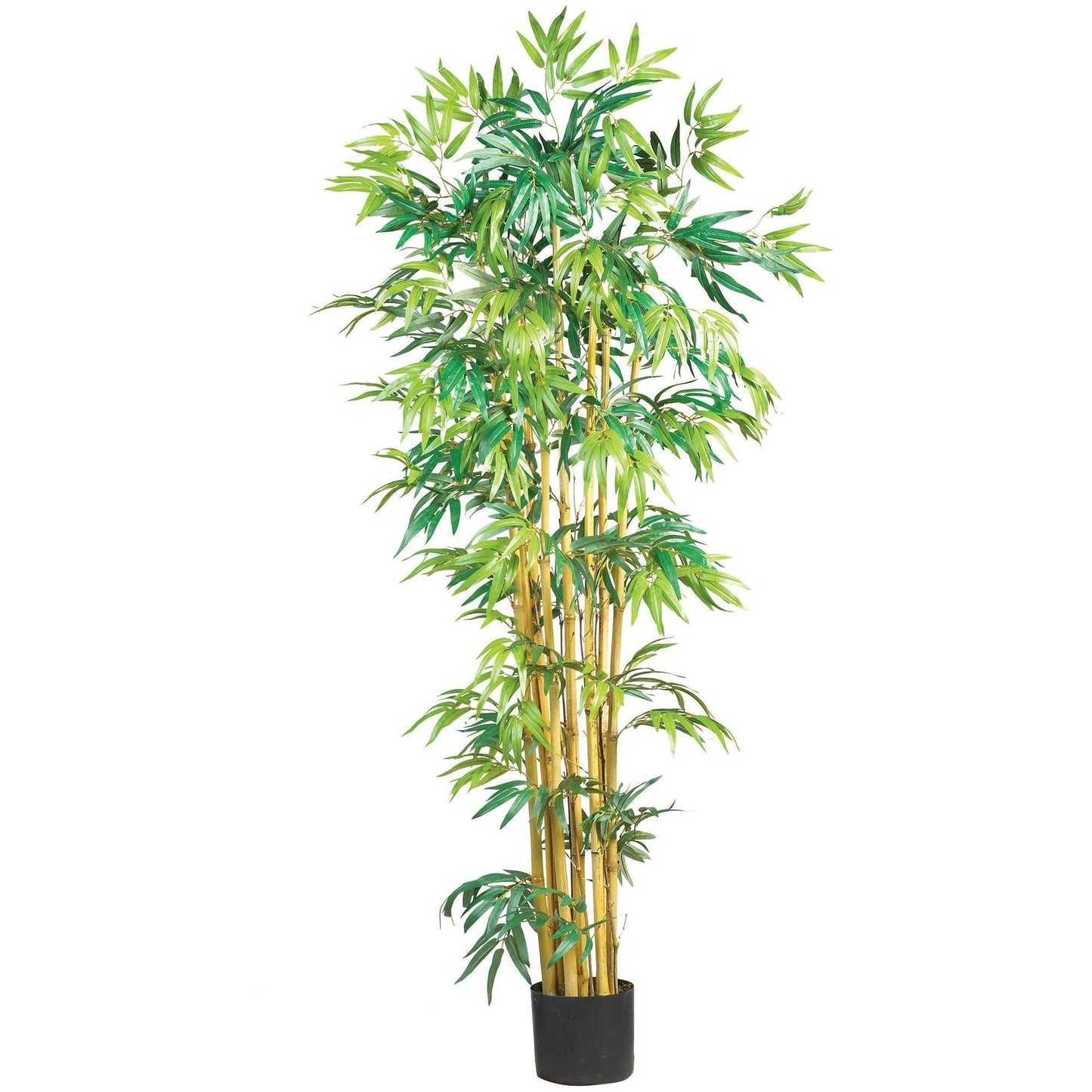 Arbre en soie de bambou Multi Bambusa de 5 pieds